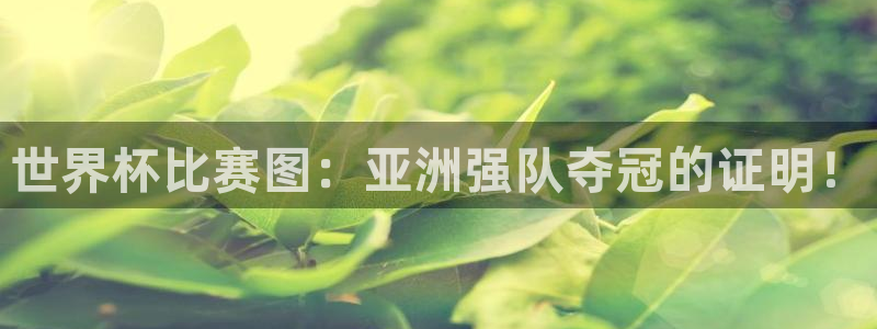 2026世预赛赛程表：世界杯比赛图：亚洲强队夺冠的证明！