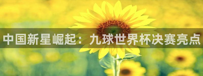 世界杯2026赛程时间表格：中国新星崛起：九球世界杯决赛亮点