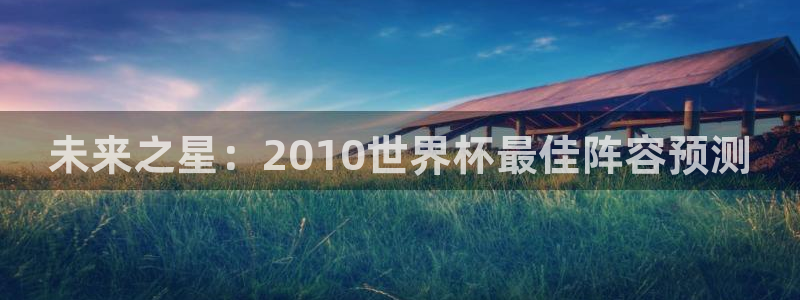 世界杯预选赛规则：未来之星：2010世界杯最佳阵容预测