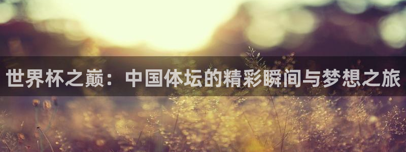 世界杯预选赛欧洲赛区赛程：世界杯之巅：中国体坛的精彩瞬间与梦想之旅