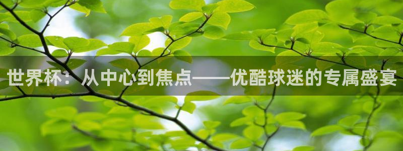 世界杯在线直播入口：世界杯：从中心到焦点——优酷球迷的专属盛宴