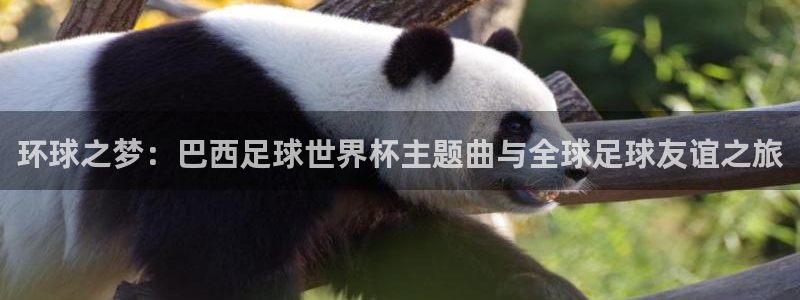 世界杯第一场比赛：环球之梦：巴西足球世界杯主题曲与全球足球友谊之旅