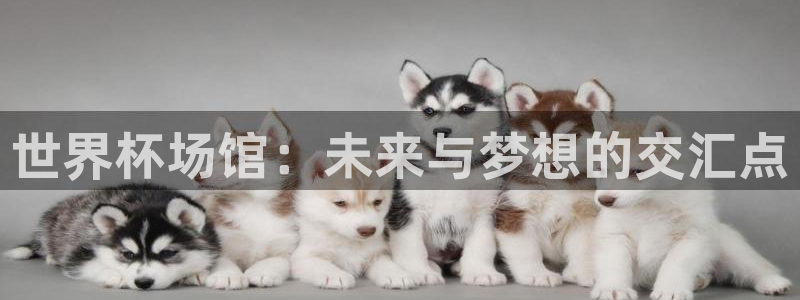 世界杯 中国：世界杯场馆：未来与梦想的交汇点