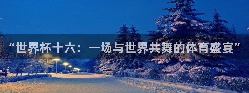 世界杯官网：“世界杯十六：一场与世界共舞的体育盛宴”