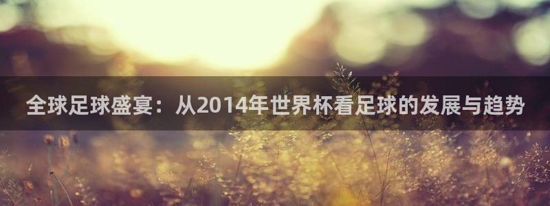 英格兰联赛杯直播：全球足球盛宴：从2014年世界杯看足球的发展与趋势